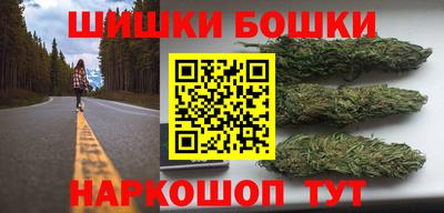 гидра Новодвинск