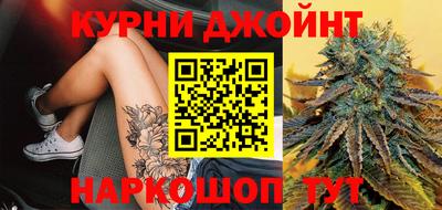 гидра Новодвинск